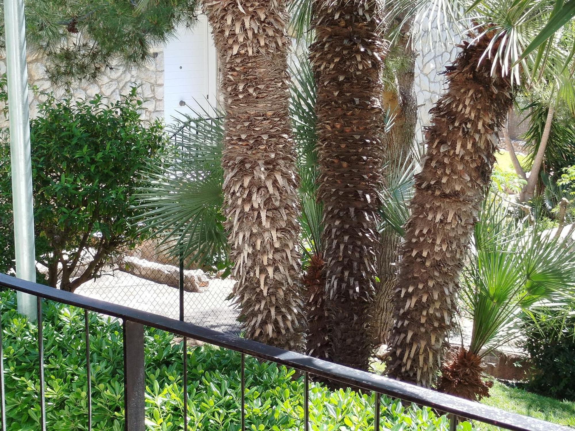 Brisa Del Mar Salou Exterior foto